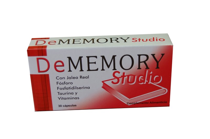 Resultado de imagen de the memory