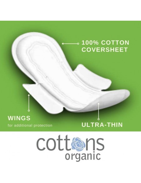 Cottons Regular Compresa